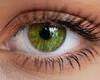 nature green eyes