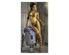 Slave Girl Leia & R2-D2