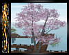 Tall Sakura Tree