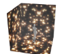 Anim. Stars Gold BG