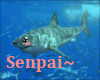 Shark Senpai Sign