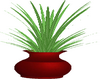 Red Vase Plant