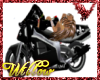 WF> Biker Willow