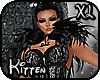 ¢| Kitten Bundle XL
