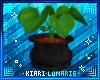 Prop Plant Avatar