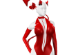 Devil Custome