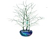 NAS potted tree