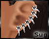 Sug* Multi Earings