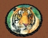 Painted Tiger Rug