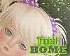 [TH]Cute Inia Hair