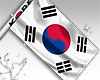 ✧ Korean flag F/M