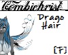 Drago Hair [F]