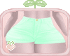 🌱Minty Shorts