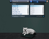 dyr* City Life Cat Radio