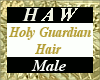 Holy Guardian Hair - M