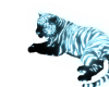 [Mae]Tiger Blue w Pose