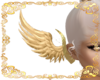 Sonja's Wings
