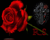 R.S Furn rose