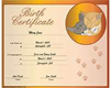 birth  certificate