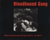 Bloodhound Gang  Pickin'