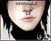 はい ANYSHAPE SEPTUM