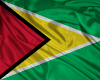 ~Guyana Flag