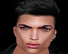 *LH* Heads HD Model