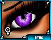 [T] Spider Purple Eyes