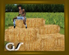 GS Hay Bales With Poses