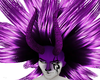 D3~Purple Horns