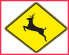 SM Deer Crossing