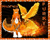 orange pheonix furkini