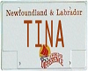 {SH} Tina License
