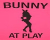 Bunny At Play
