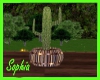 Country Club Cactus