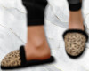 K: Leopard Slippers M