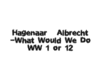 Hagenaar -What Would We