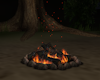 Outdoor Campfire
