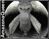 )o( Snowy Moon Owl Pet