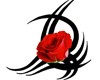 red rose/ designe