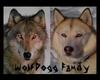 WolfDogg Family Banner