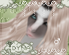 Silver Rain - Terenty