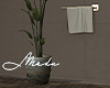 Bathroom Plant
