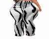 RXL Zibra Hot Pants