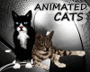 Animated Cats