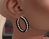Dp Hoop Pearl Earrings