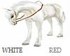 HORSE-WHITE arabian