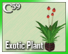 [C59] Exotic Plant