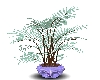 LL- Gem planter /plant