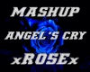 ANGEL'S CRY - MASHUP